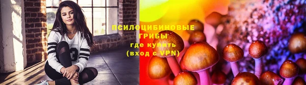 дмт Павлово