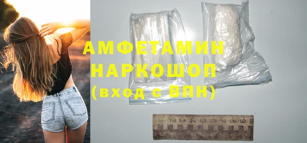 крисы Тайга