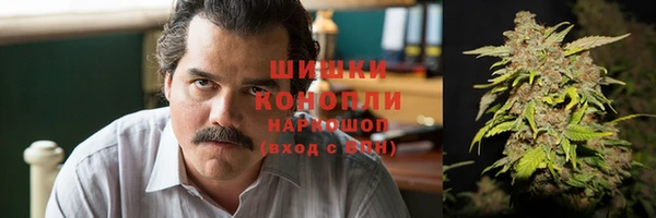 крисы Тайга