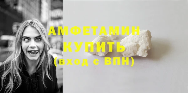крисы Тайга
