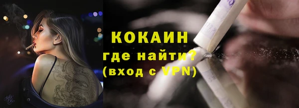 крисы Тайга