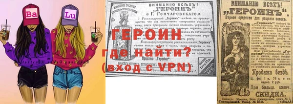 крисы Тайга