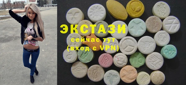 крисы Тайга