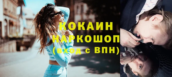 крисы Тайга