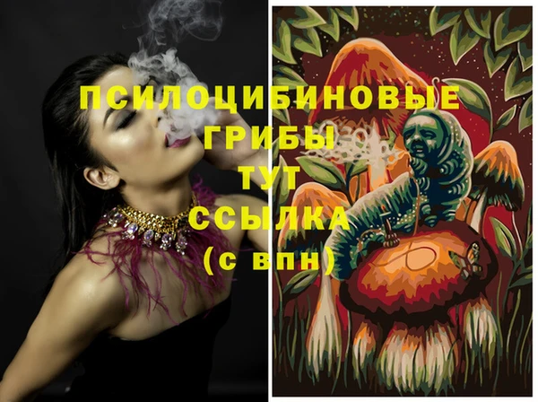 гидра Тавда