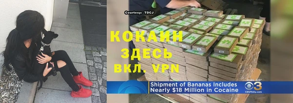 гидра Тавда